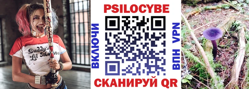 Купить где  Фокино  Псилоцибиновые грибы ЛСД 
